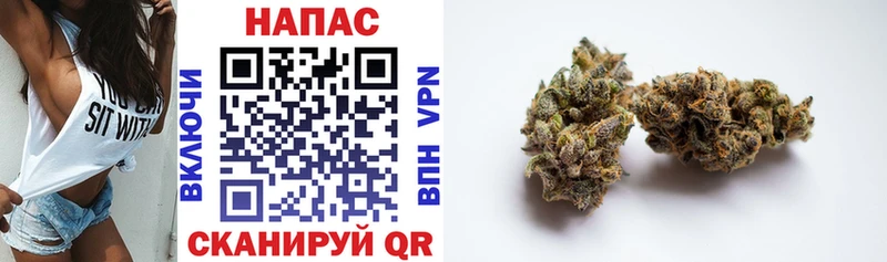 МАРИХУАНА OG Kush  omg ONION  Куса 